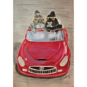 Cruzin E-Pattern By Debbie Cushing Outlet 100% Authentic