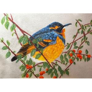 A Varied Thrush E-Pattern By Debbie Cushing Buy Cheap Discounts