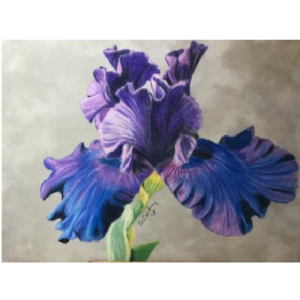 A Touch of Blue E-Pattern By Debbie Cushing Marketable Online