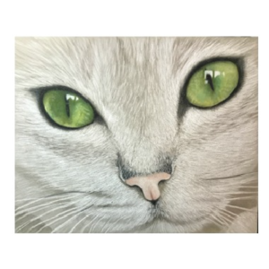 Burmilla E-Pattern By Debbie Cushing In China Sale Online