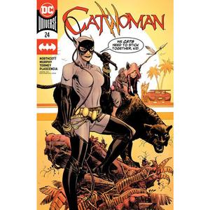 Catwoman #24 Perfect Cheap Online