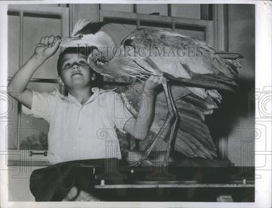 1950 Press Photo Science Enterprise Prediction World Wiki For Sale