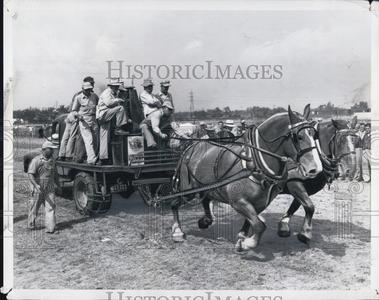 1951 Press Photo  Michigan State Fair Horses Discount Classic