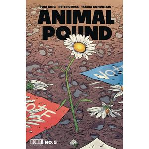 Animal Pound #5 Sale Good Selling