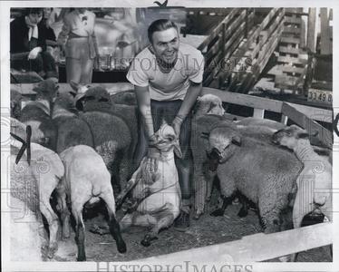 1952 Press Photo  Michigan State Fair Livestock Clearance Limited Edition