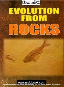 EVOLUTION FROM ROCKS Clearance Wiki