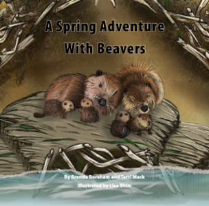 A Spring Adventure with Beavers Manchester Sale Online