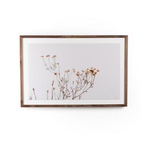 "In The Details I" by Annie Spratt Free Shipping 2025 New