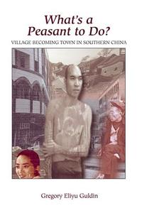 What's A Peasant To Do? Village Becoming Town In Southern China Outlet Reliable