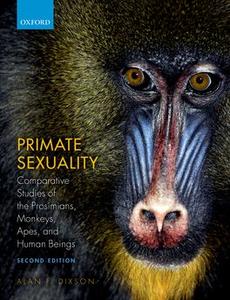 Primate Sexuality Cheap Big Sale
