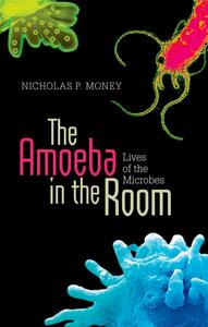 Amoeba in the Room, The Outlet Popular