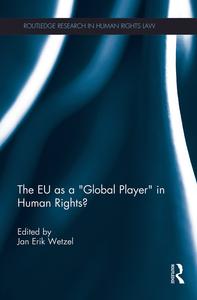 EU as a 'Global Player' in Human Rights? Supply Cheap Pice