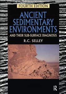 Ancient Sedimentary Environments Store Sale