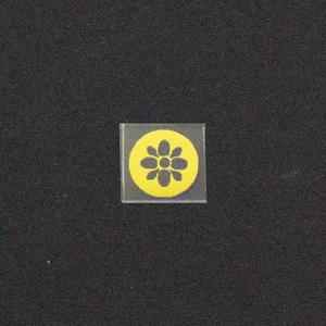 Daisy Spotlight Image Outlet Wiki