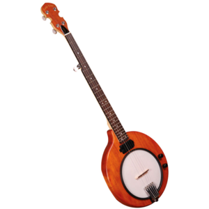 Gold Tone EB-5 Electric 5-String Banjo with Gig Bag Outlet Locations