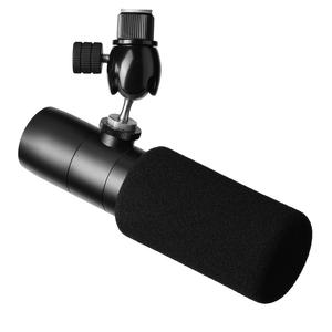 Earthworks ETHOS B XLR Broadcasting Condenser Microphone, Black Online Cheap Quality