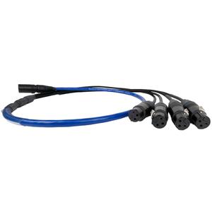 SoundTools SuperCAT Tails Shielded Male RJ45 to 4 Female XLR Cheap Explore
