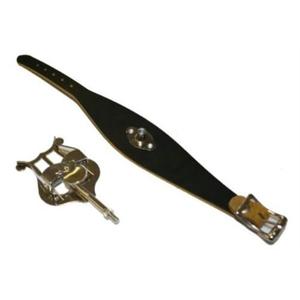 Selmer 1759 Flute Wristband Lyre Low Shipping Cheap Pice