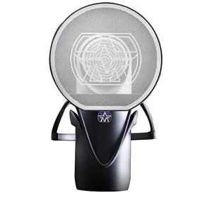 Aston Microphones Element With Mastercard For Sale