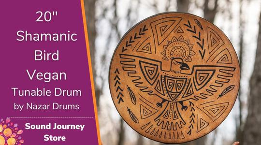 20" Shamanic Bird Vegan Tunable Hand Drum In China Cheap Online