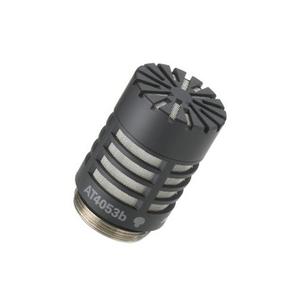 Audio-Technica AT4053B-EL Hypercardioid Head Capsule For Sale Online