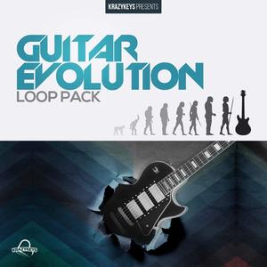 Guitar Evolution (Loop Pack) Sale Low Cost