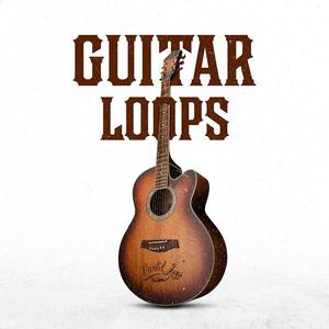 Guitar Loops Buy Cheap Fake