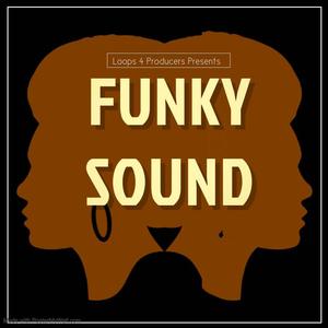 Funky Sound Discount Largest Supplier