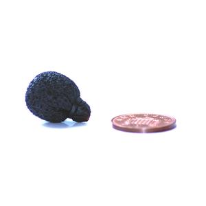 Rycote Neoprene-Coated Mini Lavalier Foam Cheap Sale Low Pice