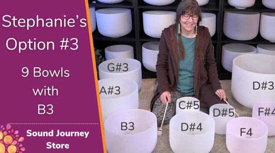 Stephanie's Option #3: 9 Crystal Singing Bowls with D#3 and B3 Best Place Sale Online