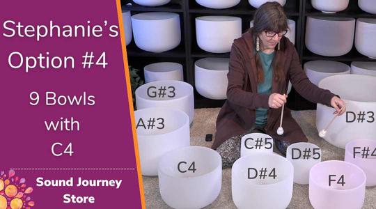 Stephanie's Option #4: 9 Crystal Singing Bowls with D#3 and C4 Largest Supplier