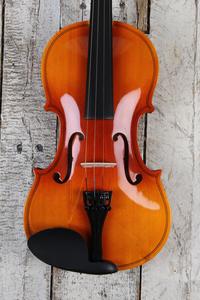 Stagg VN-4/4 L 4/4 Maple Violin with Shaped Soft Case Bow and Resin Free Shipping Purchase