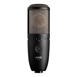 AKG P420 Dual Capsule True Condenser Microphone for Studio Stage Cheap Cheap Online
