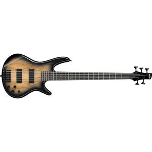 Ibanez GSR205SM-NGT GSR Gio Series 5-String Electric Bass-Natural Gray Burst Fast Delivery Sale Online