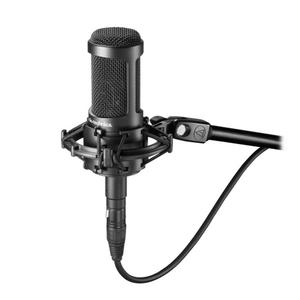 Audio-Technica AT2050 Multi-Pattern Condenser Microphone In China Online