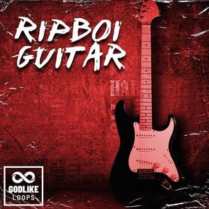 RipBoi Guitar Sale Low Pice Fee Shipping