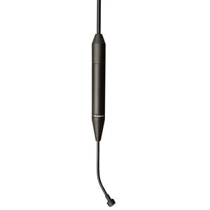 Earthworks C30/HC-B Hanging Black Hypercardioid Microphone with Cable Online Online Outlet Sale