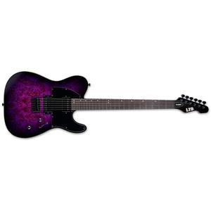 ESP LTD TE-200DX-PRB Electric Guitar-Purple Burst Collections Cheap Online