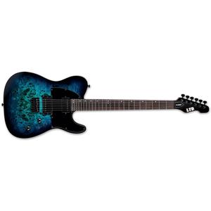 ESP LTD TE-200DX-BLB Electric Guitar-Blue Burst Clearance Best Pices