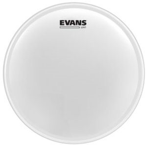 Evans B16UV1 UV1 Coated 16" Buy Cheap Excellent