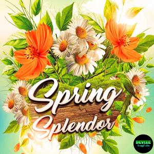 Spring Splendor Drum Kit Visit Cheap Pice