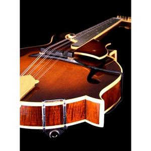 The Realist Copperhead Mandolin Pickup, 2 Foot Bridge Outlet Fashion Style
