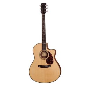 Larrivee LV-10E Rosewood Acoustic/Electric Guitar with Pickup & Hardshell Case Shop Offer