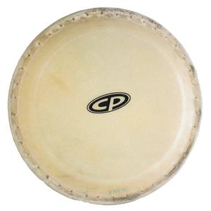 Latin Percussion C.P. CP636B 10" Conga Head Cheap Pice Outlet Sale