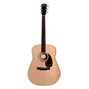 Larrivee D-05E Mahogany Acoustic/Electric Guitar with L.R. Baggs iMix Notch System and Hardshell Case Cheap Pice Outlet