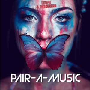 Pair-A-Music Cheap Sale Now