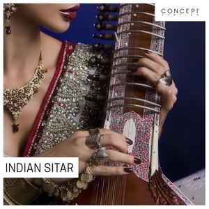 Indian Sitar On Hot Sale
