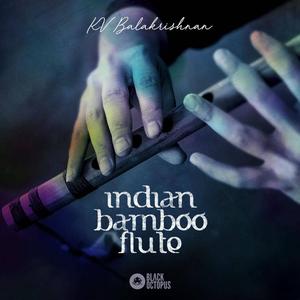 Indian Bamboo Flute Discount Best Pices