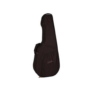TRIC Classic Folk Concert Hall Acoustic Guitar Case Buy Cheap Affordable