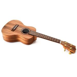 Twisted Wood AR-800CE Aurora Concert Ukulele with Belcat Pickup & Gig Bag Discounts